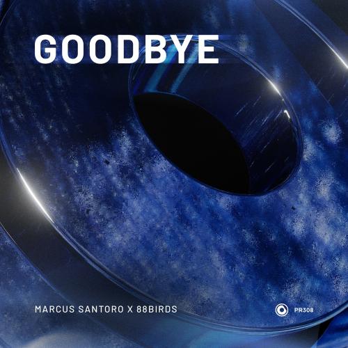 Marcus Santoro feat. 88birds - Goodbye