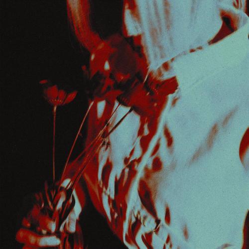 Холодная кровь - MAREO