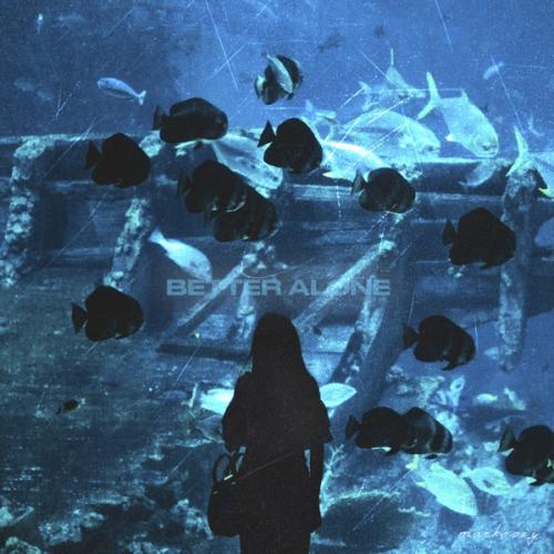 markeniy & Koceila Chougar - Better Alone