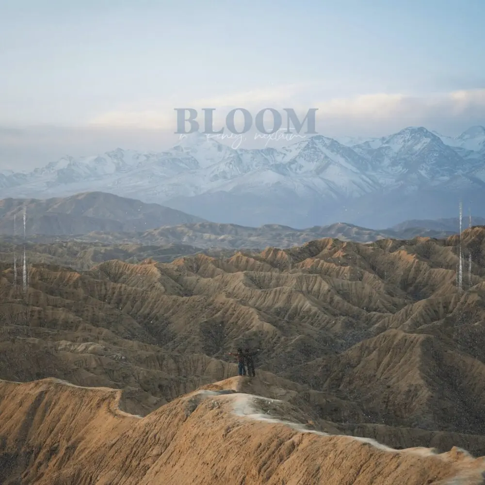 BLOOM - markeniy, nextatm