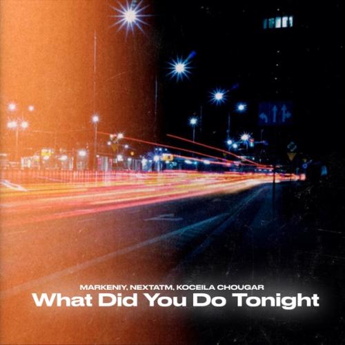 markeniy, nextatm & Koceila Chougar - What Did You Do Tonight