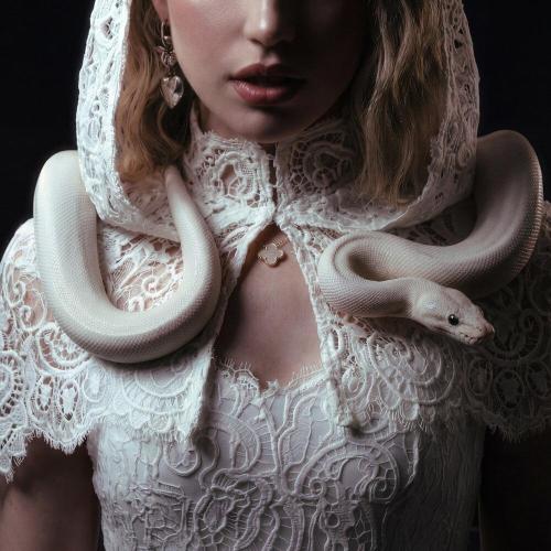 marrivi - Змей