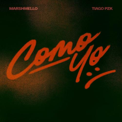 Marshmello feat. Tiago PZK - Como Yo (