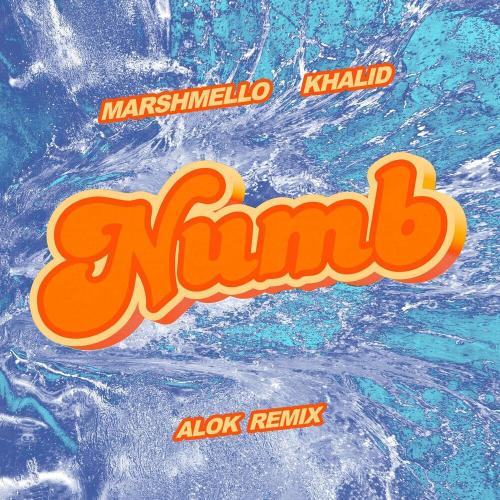 Marshmello, Khalid & Alok - Numb (Alok Remix)