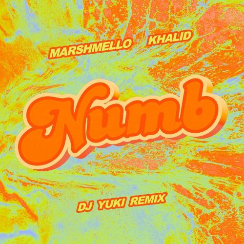 Marshmello & Khalid - Numb (DJ YUKI Remix)