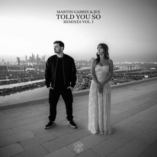 Martin Garrix feat. Jex - Told You So (Lavern & Visionv Remix)