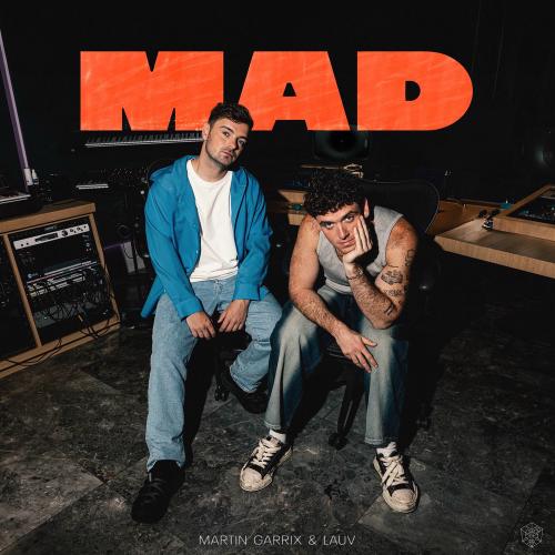 Martin Garrix & Lauv - Mad