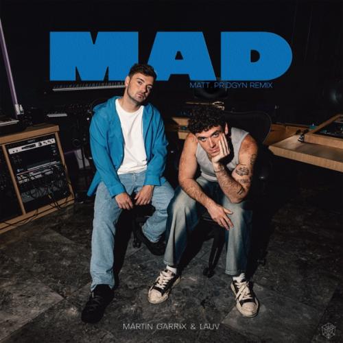 Martin Garrix, Lauv & Matt Pridgyn - MAD (Matt Pridgyn Remix)