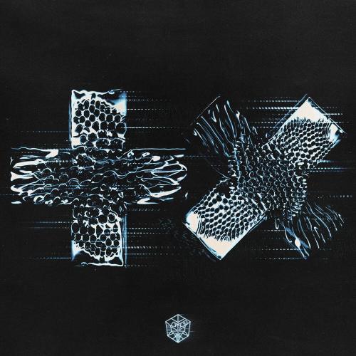 Good Morning - Martin Garrix & Matisse & Sadko