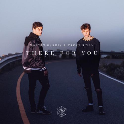 Martin Garrix & Troye Sivan - There for You