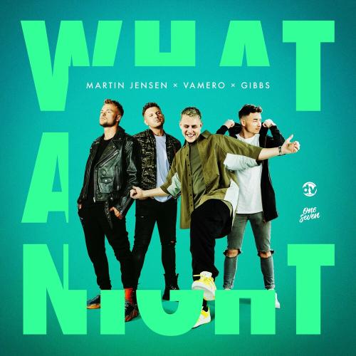 Martin Jensen feat. Vamero x Gibbs - What A Night