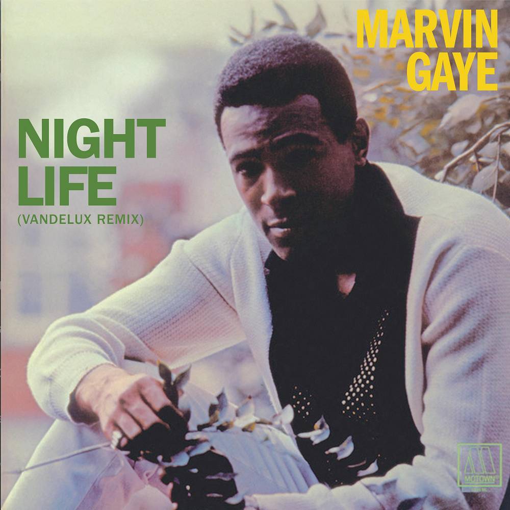 Night Life (Vandelux Remix) - Marvin Gaye & Vandelux