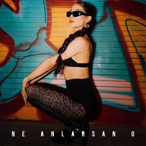 Ne Anlarsan O - Masal