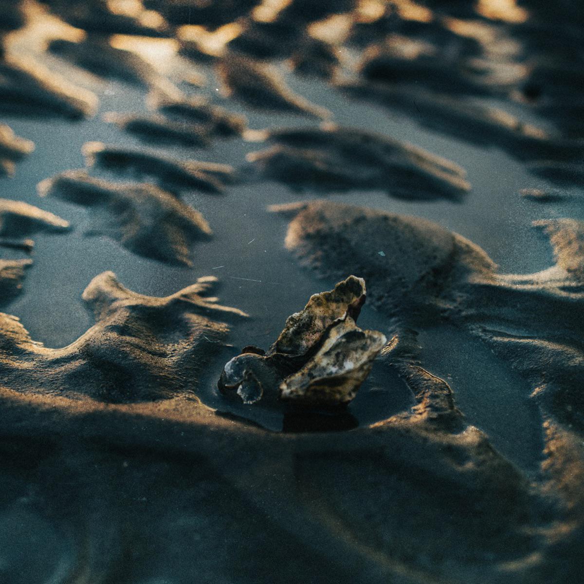 Tides - Mathew Lee Jennings