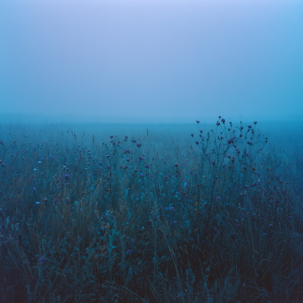a dream away - mawhyes, rareeast
