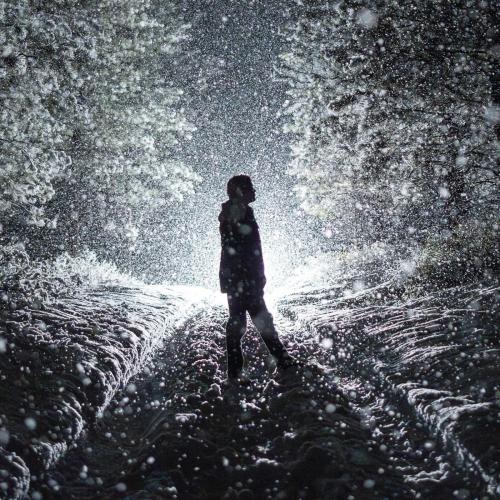 Max McNown - Willfully Blind