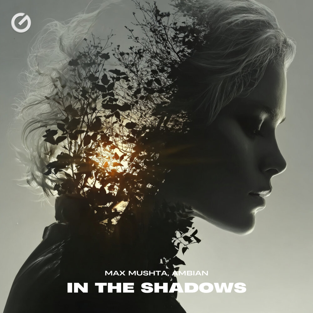 In The Shadows - Max Mushta, Ambian