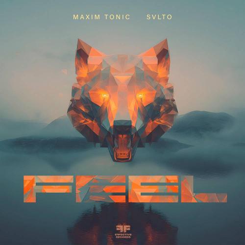Maxim Tonic & SVLTO - Feel