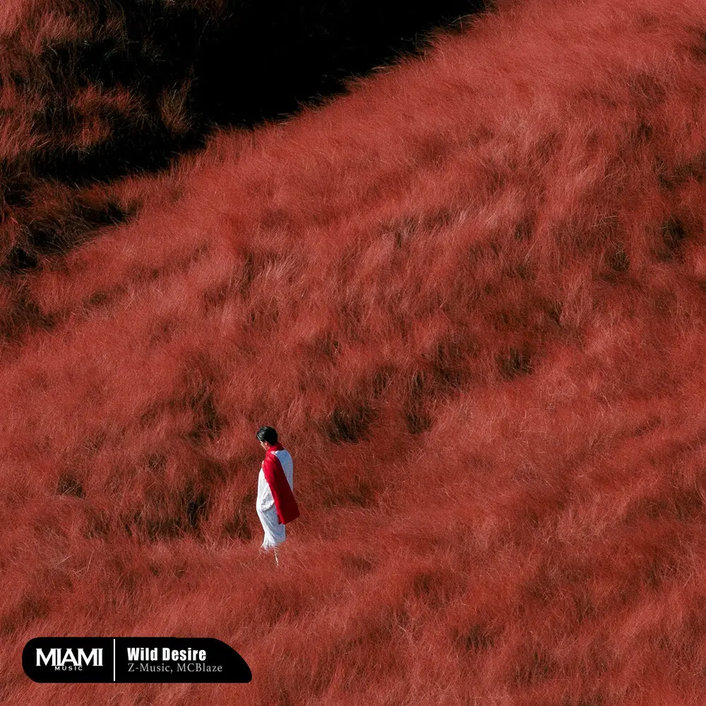 Wild Desire - McBlaze, Z-Music