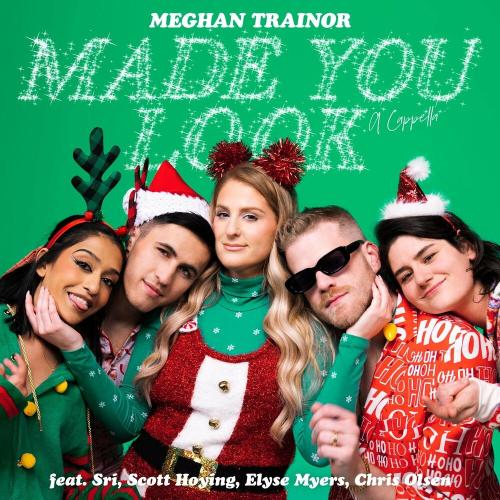 Made You Look (A Cappella) - Meghan Trainor x Scott Hoying feat. Sri x Elyse Myers x Chris Olsen