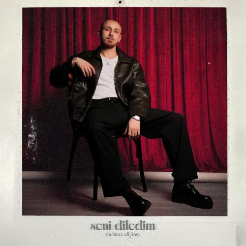 Seni Diledim - Mehmet Ali Özay