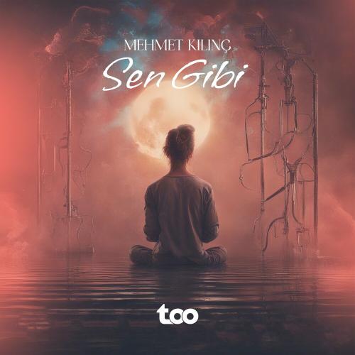 Sen Gibi - Mehmet Kılınç