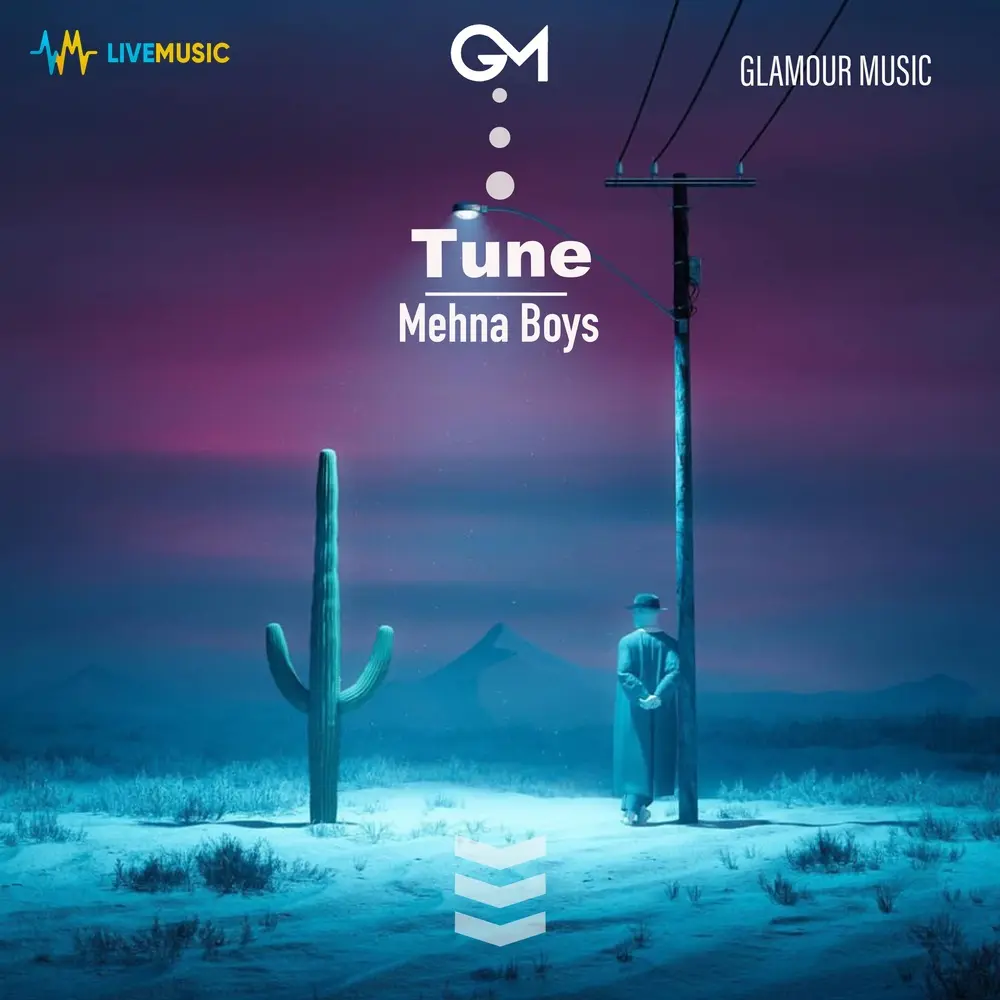 Tune - Mehna Boys