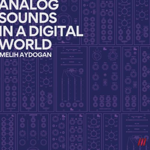Analog Sounds in a Digital World - Melih Aydogan
