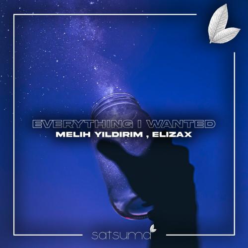 Melih Yıldırım & Elizax - Everything I Wanted
