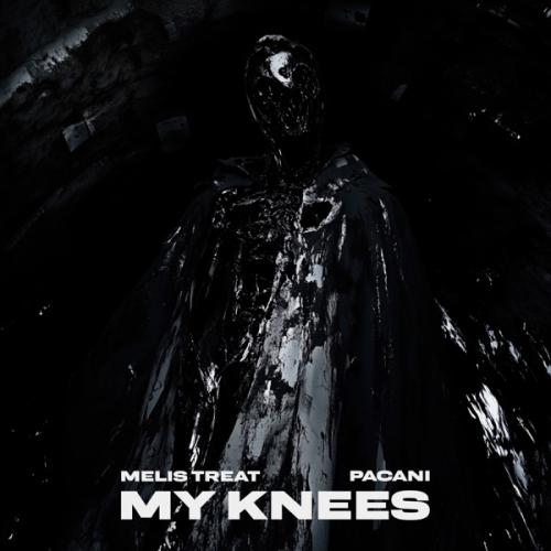 Melis Treat & PACANI - My Knees