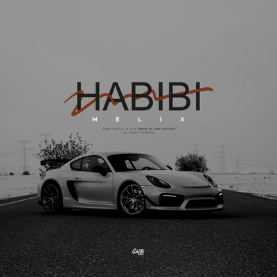 MELIX - HABIBI