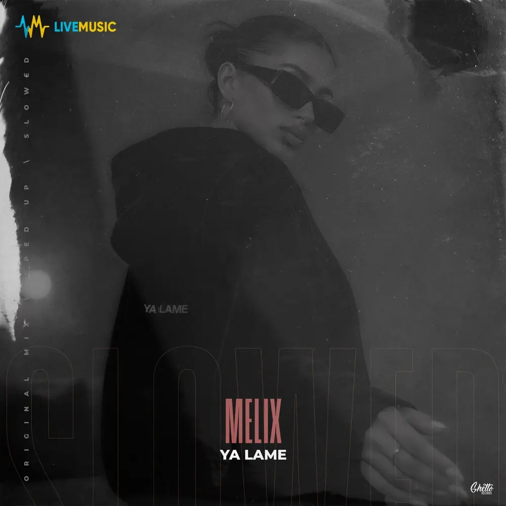 Ya Lame (Slowed) - MELIX