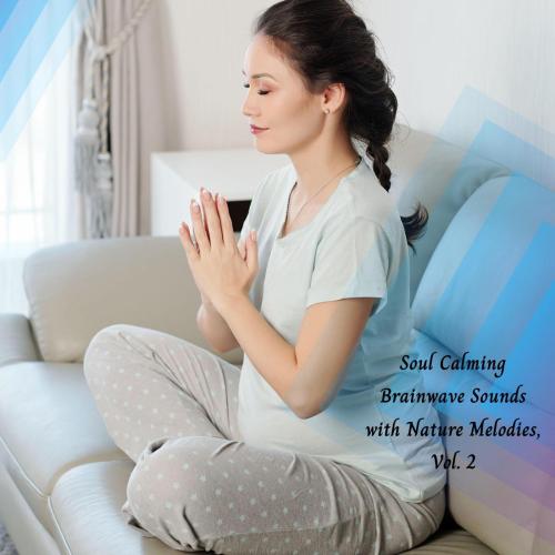 Melvin Meditation Archive - Waves and Vibes (Meditative Theta Waves)