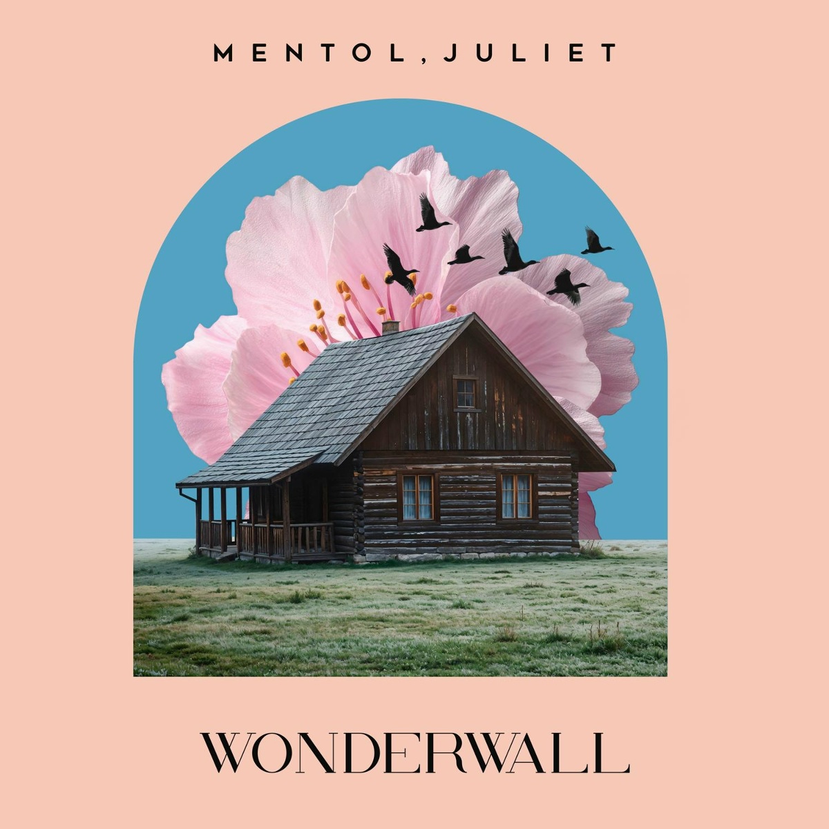 Wonderwall - Mentol, Juliet
