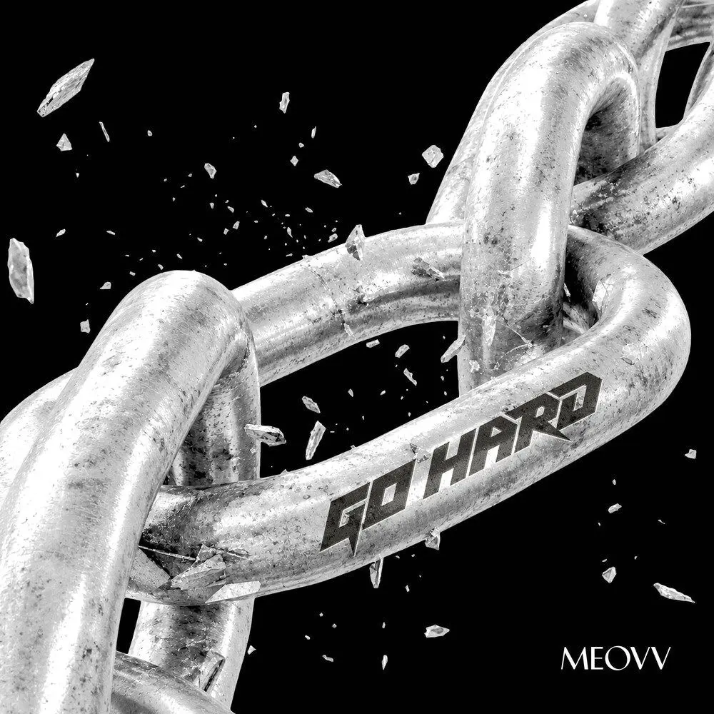 INDESTRUCTIBLE - MEOVV