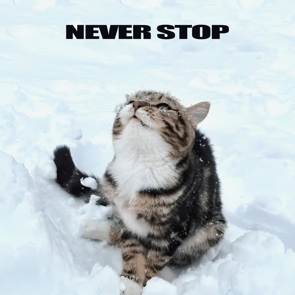 Never Stop - mercxry, HXRIZXN