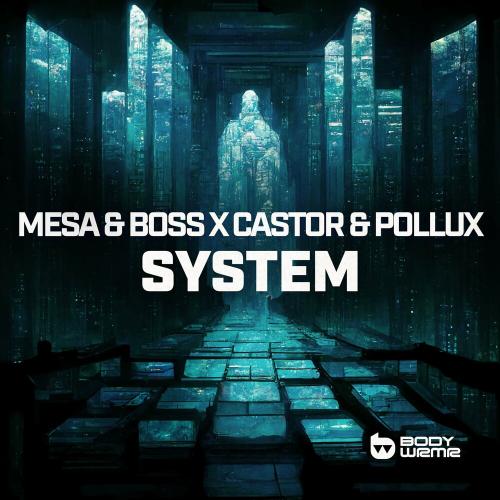 Mesa & Boss & Castor & Pollux - System