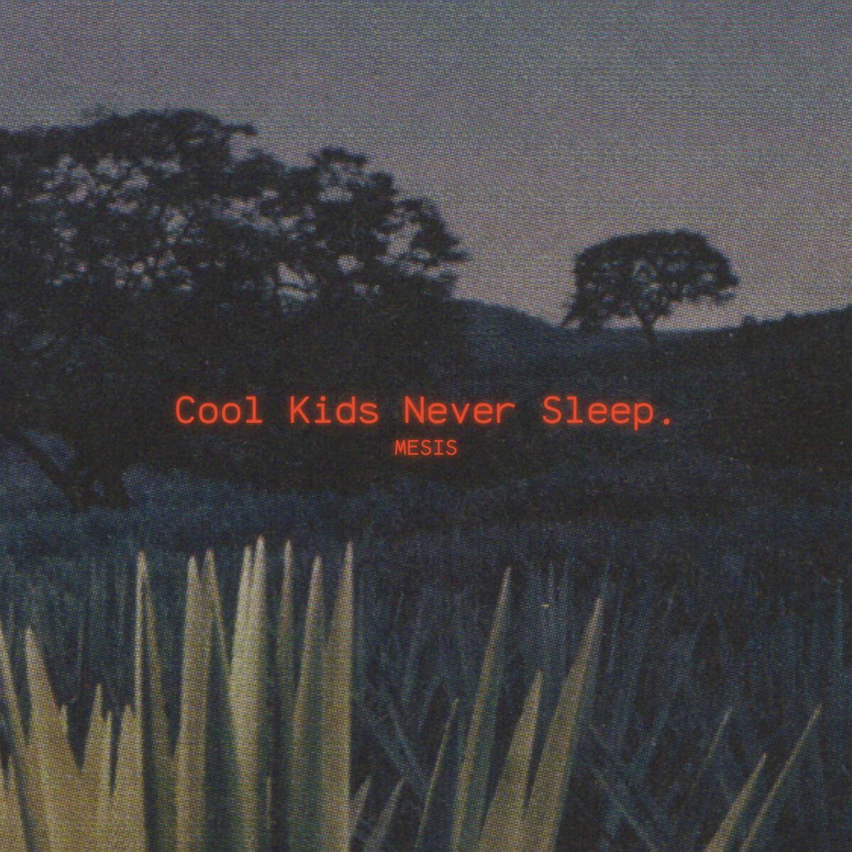 Cool Kids Never Sleep - MESIS