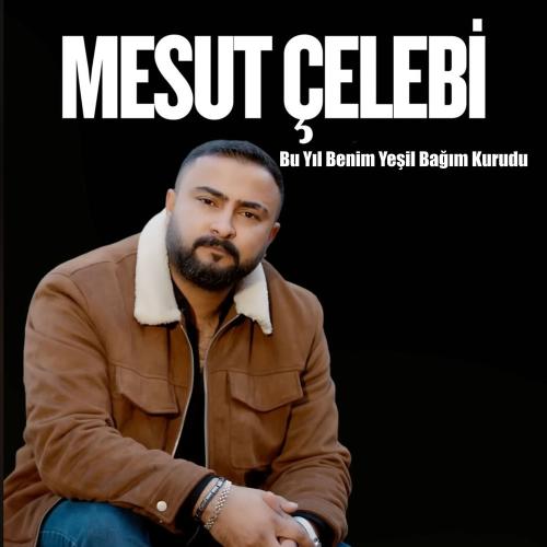 Mesut Çelebi - Bu Yıl Benim Yeşil Bağım Kurudu