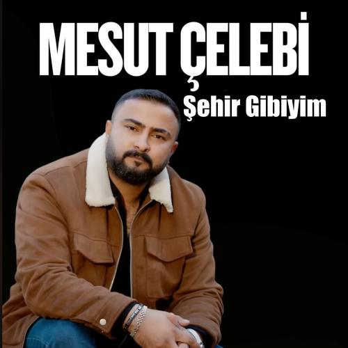 Mesut Çelebi - Şehir Gibiyim