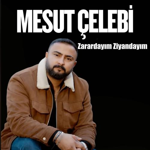 Mesut Çelebi - Zarardayım Ziyandayım