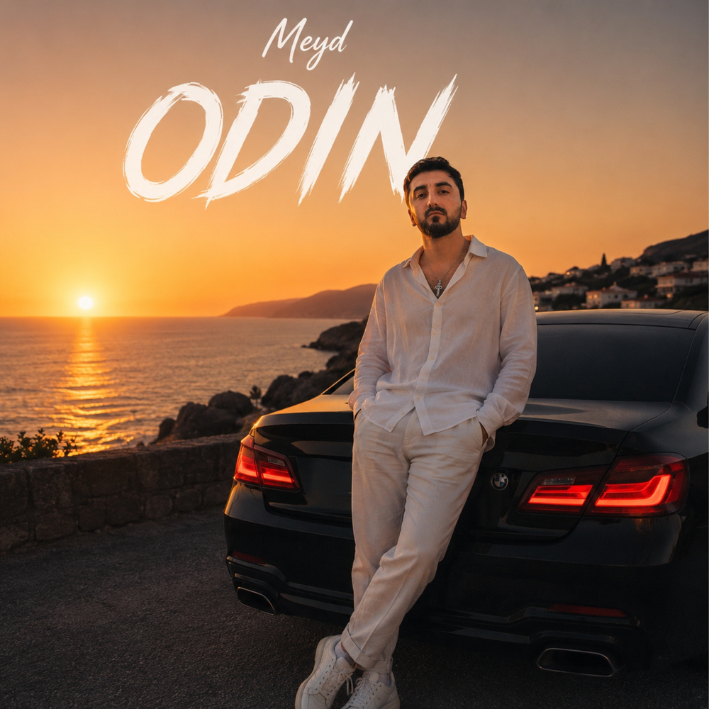 ODIN - Meyd
