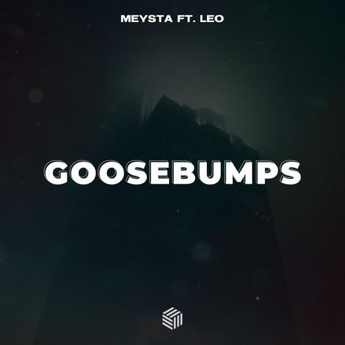 Goosebumps - MEYSTA & Leo