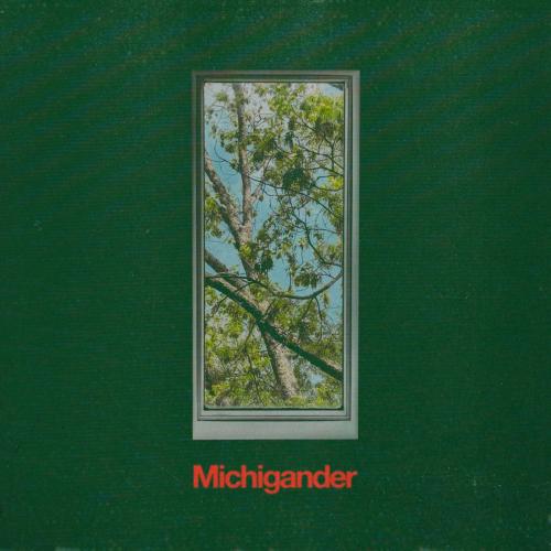 Michigander - Peace Of Mind