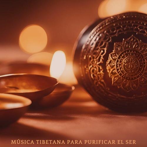 Miguel Melodías de Luz - Renueva Tu Ser