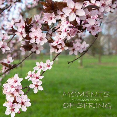 Mgnovenia_ 17 Moments of Spring - Микаэл Леонович Таривердиев, Mercuzio Pianist