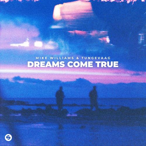 Mike Williams feaet. Tungevaag - Dreams Come True