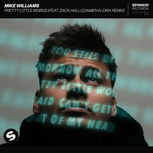 Mike Williams feat. Zack Hall - Pretty Little Words (Damien N-Drix Remix)