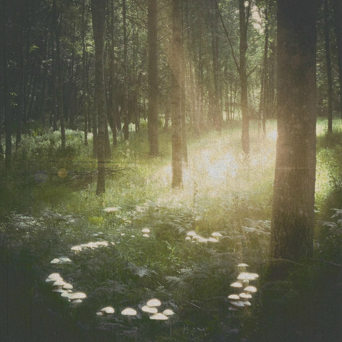 Supposed to Be - Miki Ratsula