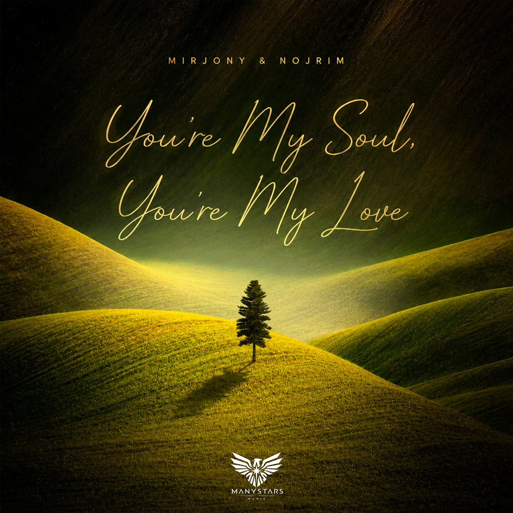 You’re My Soul, You’re My Love - Mirjony, Nojrim
